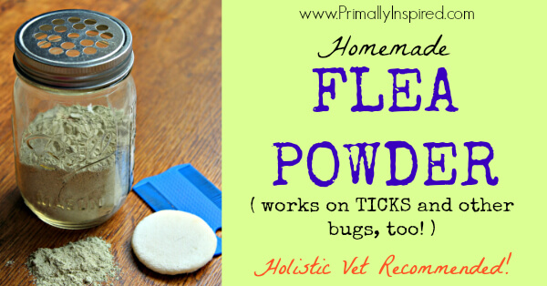 Homemade Flea Powder from Primally Inspired (works on ticks and other bugs, too!)